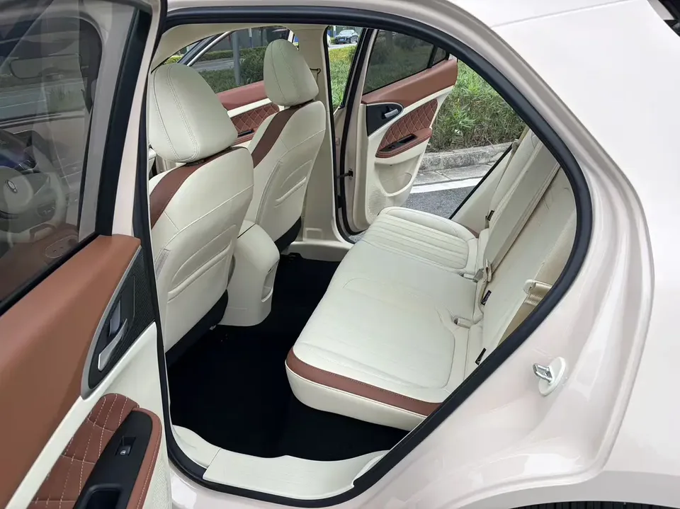ORA Euler good cat 401km Luxury Model 2025 — миниатюра 4
