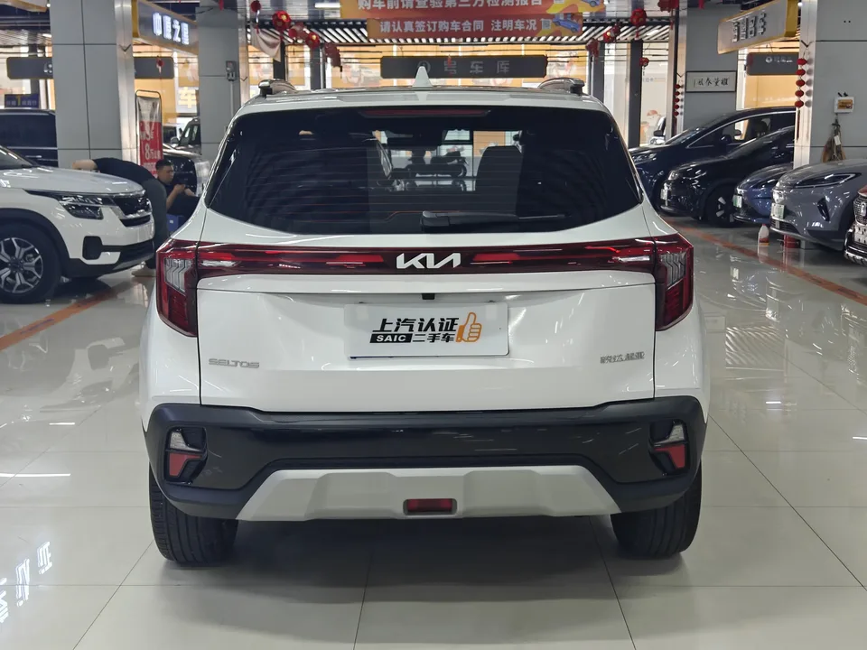 Kia Seltos CYLTUS 1.5L IVT Luxury Edition 2023 — миниатюра 2
