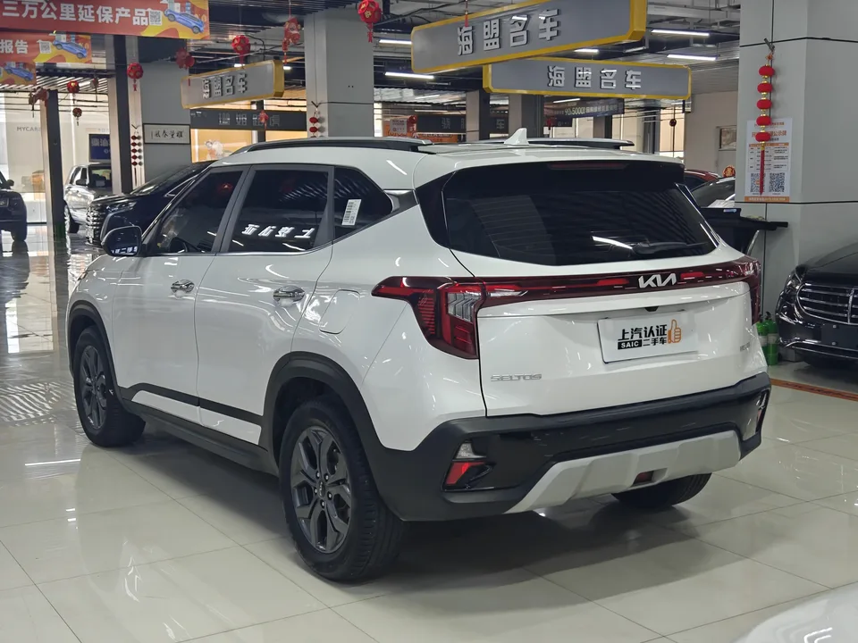 Kia Seltos CYLTUS 1.5L IVT Luxury Edition 2023 — миниатюра 4