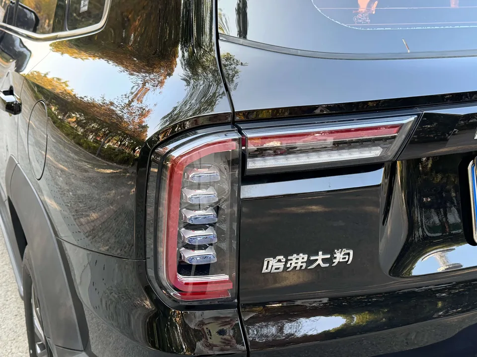 Haval Dargo 1.5T 2WD Husky Edition 2023 — миниатюра 3
