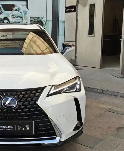 Lexus UX Lexus UX 2020 260h Exploration and Fun Edition National V 2022 — миниатюра 4