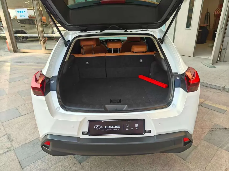 Lexus UX Lexus UX 2020 260h Exploration and Fun Edition National V 2022 — миниатюра 5
