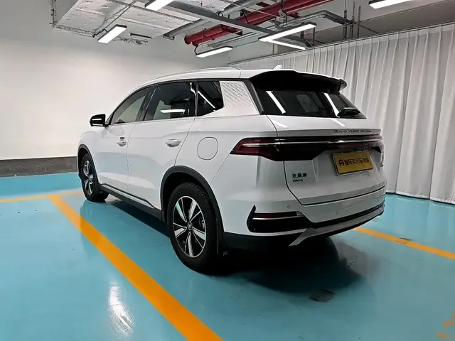 BYD Song Pro DM Song Pro DM 2022 DM-i 110km Flagship 2022 — миниатюра 2