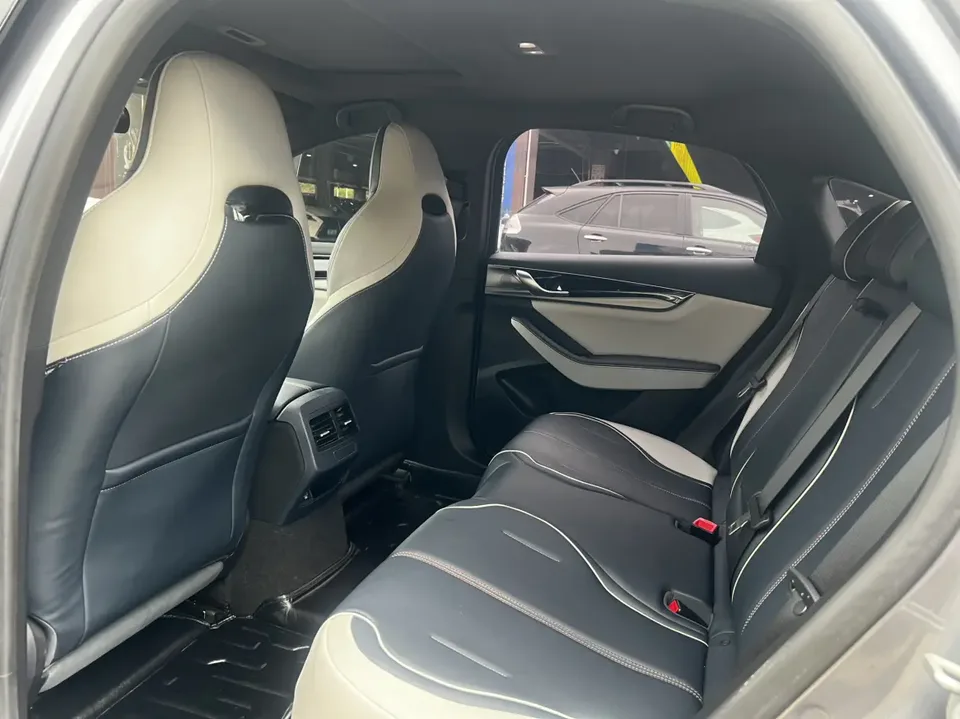 BYD Qin PLUS EV 500KM Luxury Edition 2023 — миниатюра 3