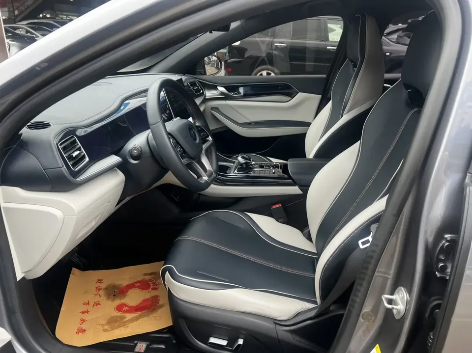 BYD Qin PLUS EV 500KM Luxury Edition 2023 — миниатюра 5