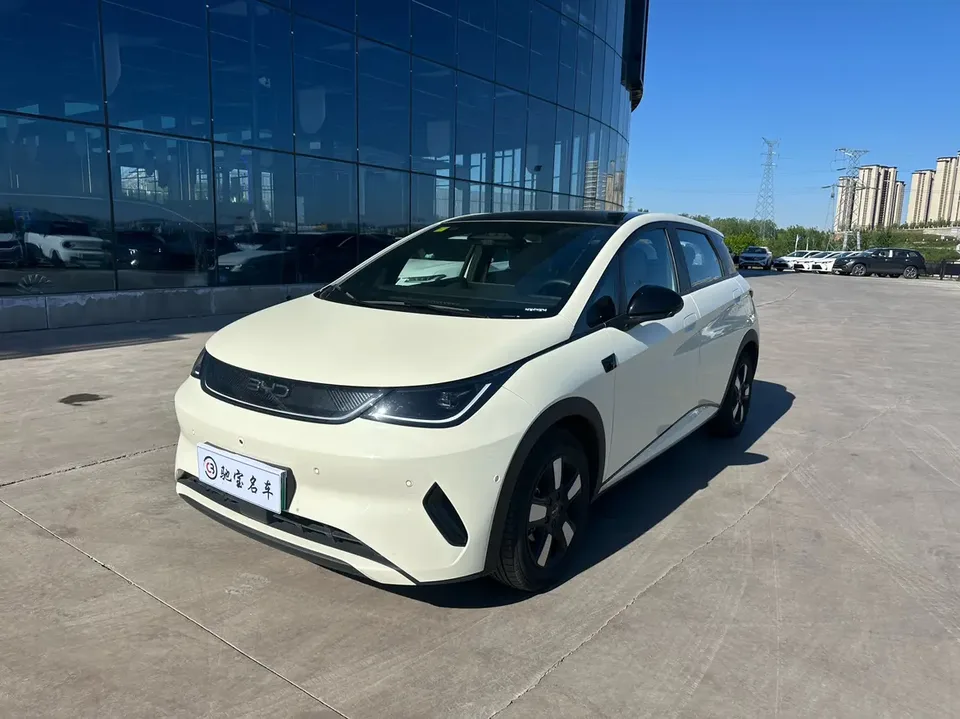 BYD Dolphin 2025