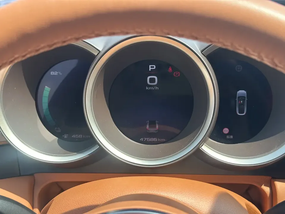 ORA Euler lightning cat 555km Deluxe Edition 2023 — миниатюра 5