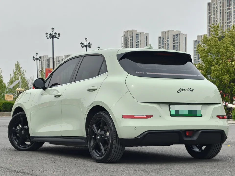 ORA Euler good cat 401km Premium Edition 2024 — миниатюра 2