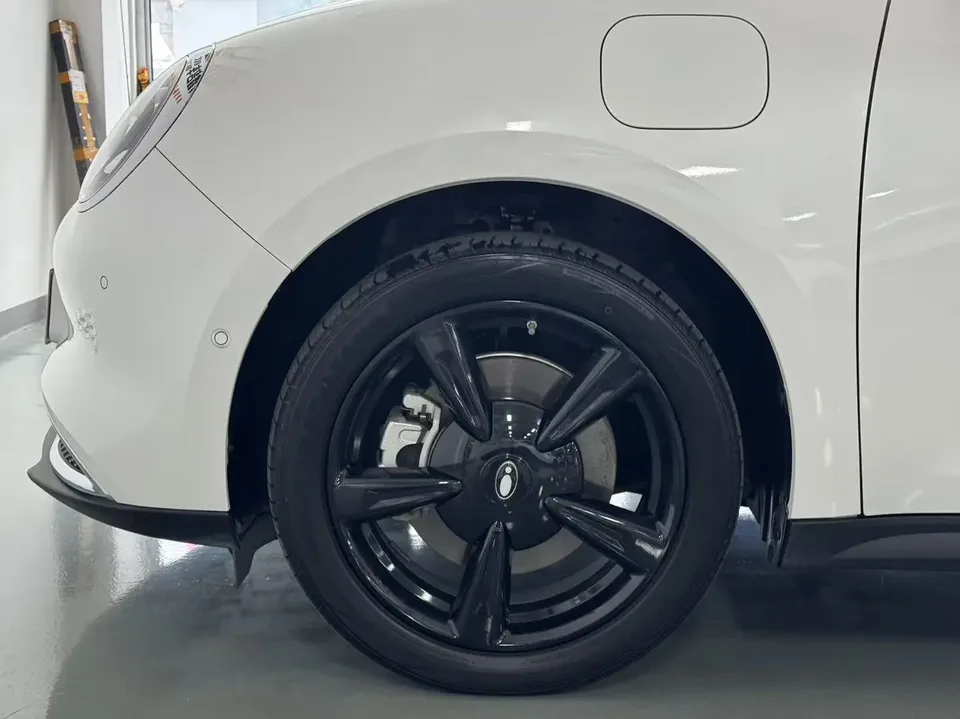ORA Euler good cat 401km Premium 126kW 2024 — миниатюра 2