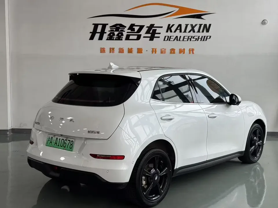 ORA Euler good cat 401km Premium 126kW 2024 — миниатюра 4