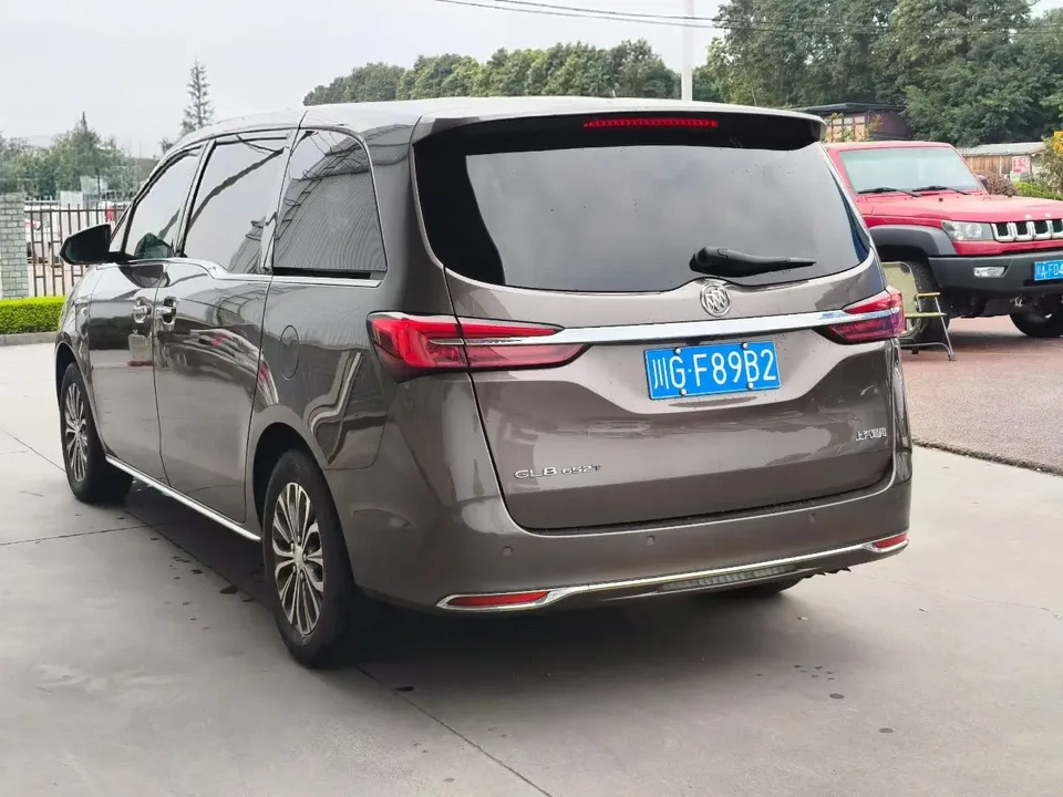 Buick GL8 Land Business Class 2.0T Luxury Edition 2023 — миниатюра 4