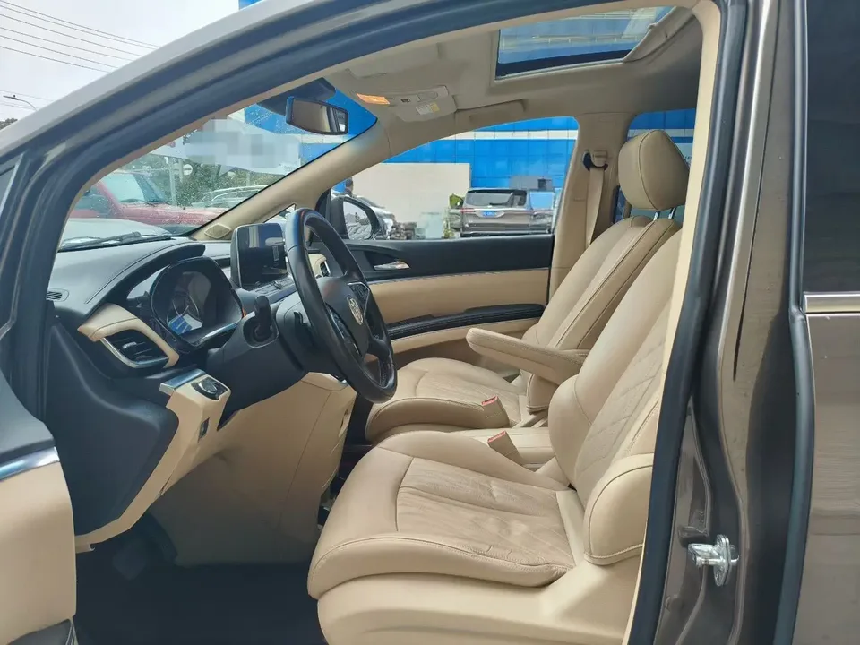Buick GL8 Land Business Class 2.0T Luxury Edition 2023 — миниатюра 5
