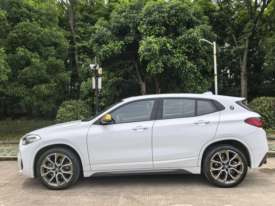 BMW X2 BMW X2 2023 sDrive25i Brilliant Edition 2023 — миниатюра 4