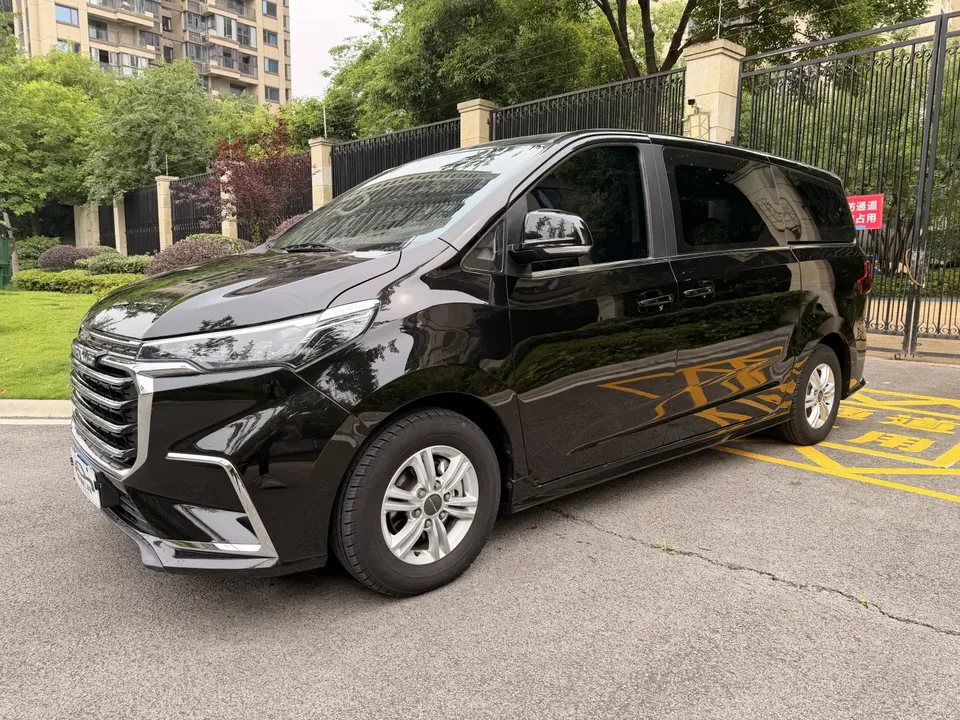 Datong Maxus G20 2023