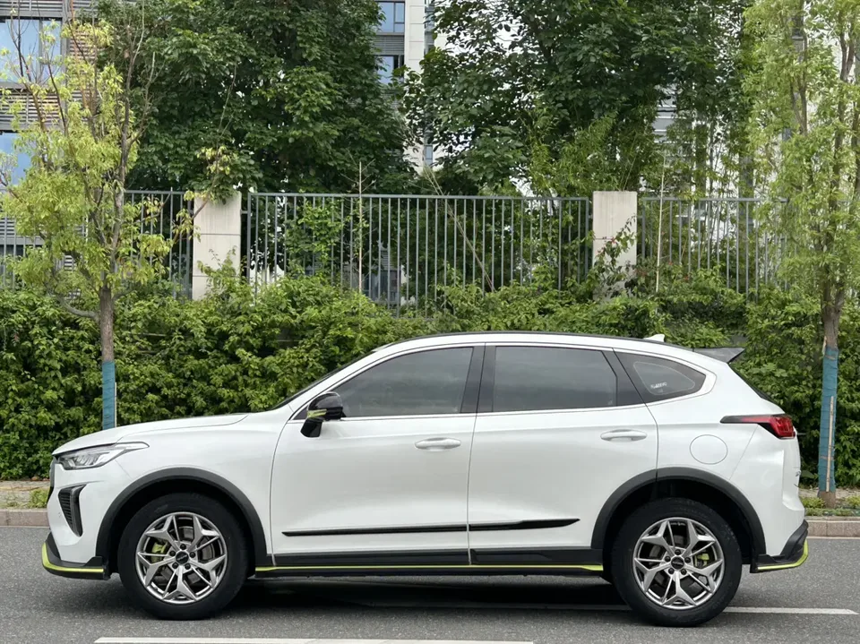 Haval Harvard Red Rabbit Haval Chitu 2022 Jinxiang Edition 1.5T Bronze Rabbit 2022 — миниатюра 4