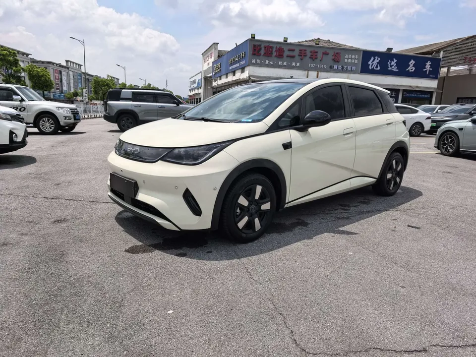 BYD Dolphin 2025