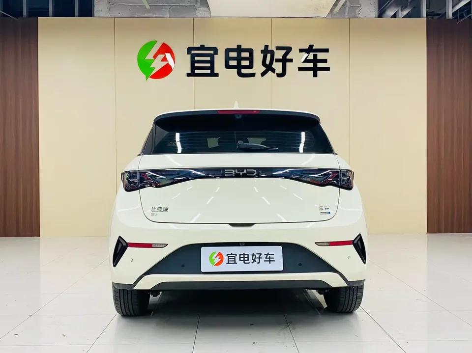BYD Dolphin Smart Driving Edition 410KM Fashion Edition 2025 — миниатюра 3