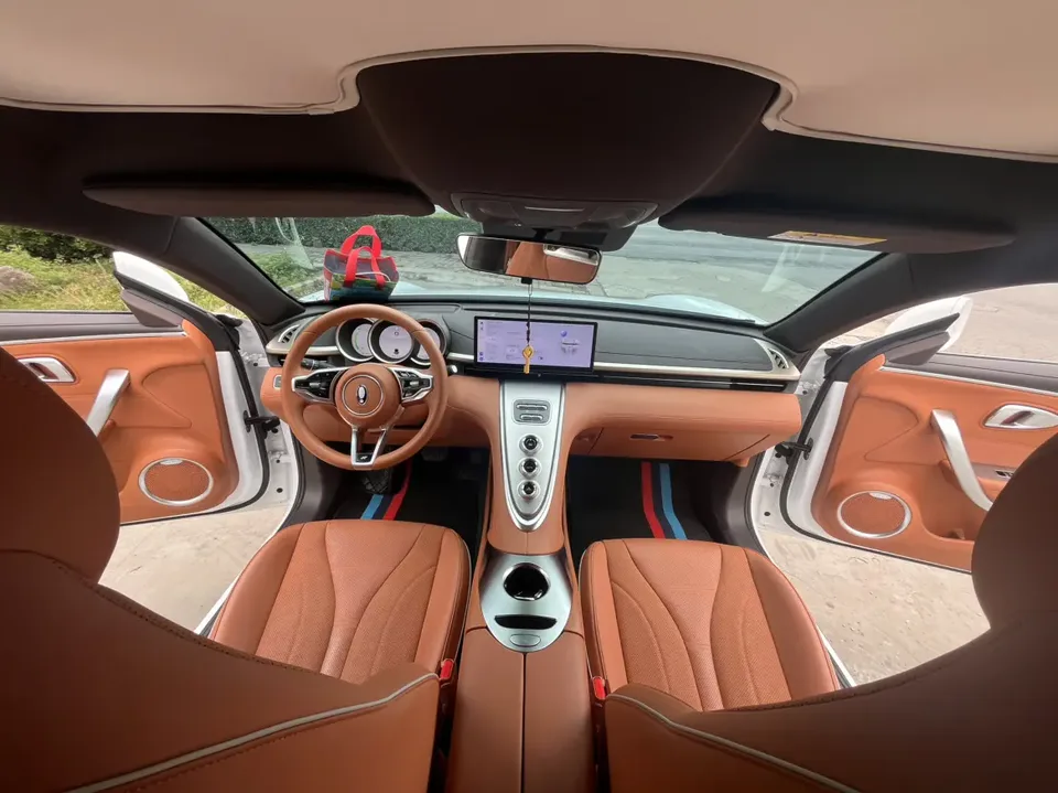 ORA Euler lightning cat 555km Premium Edition 2024 — миниатюра 3