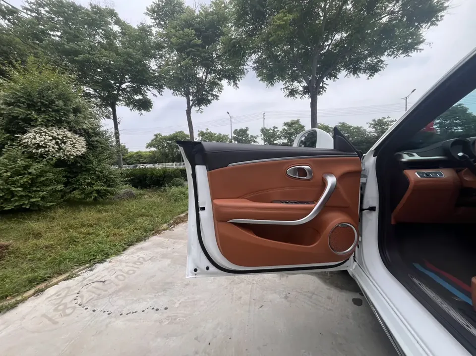 ORA Euler lightning cat 555km Premium Edition 2024 — миниатюра 4