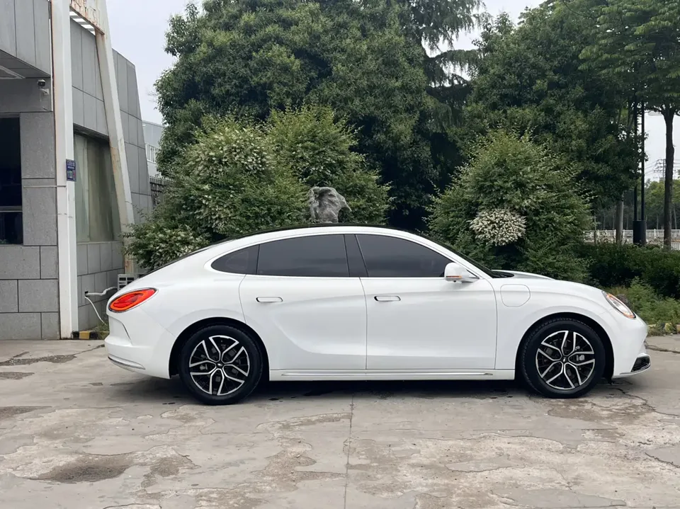 ORA Euler lightning cat 555km Premium Edition 2024 — миниатюра 5