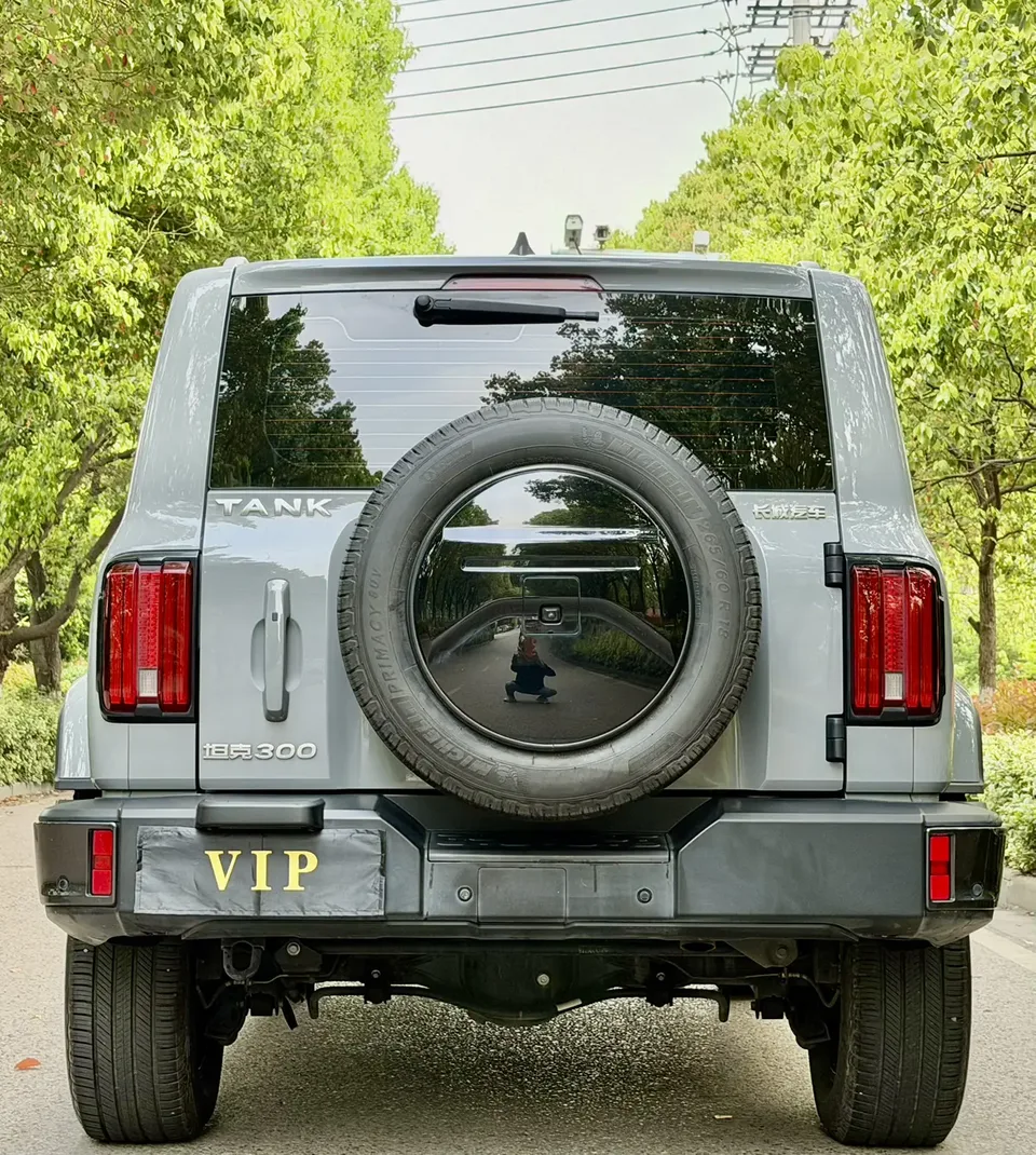 Tank 300 300 2021 Tank 300 2023 urban version 2.0T must-have model 2022 — thumbnail 2