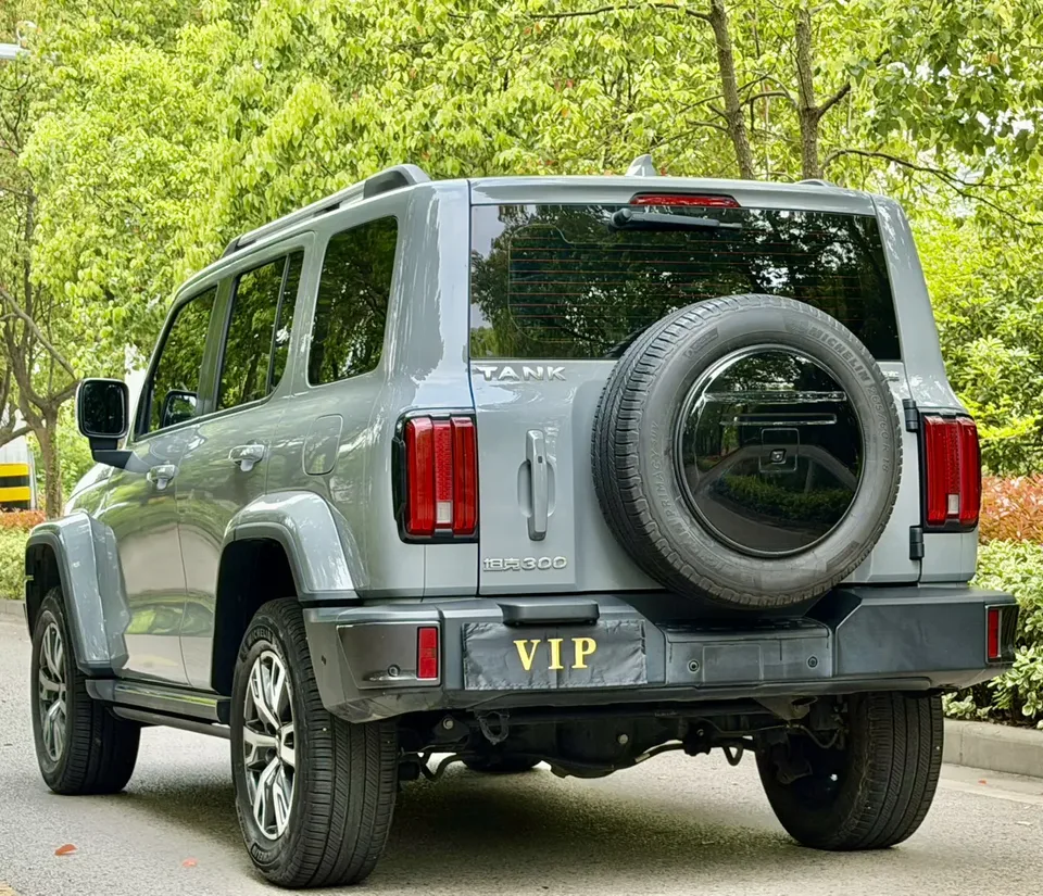 Tank 300 300 2021 Tank 300 2023 urban version 2.0T must-have model 2022 — thumbnail 4