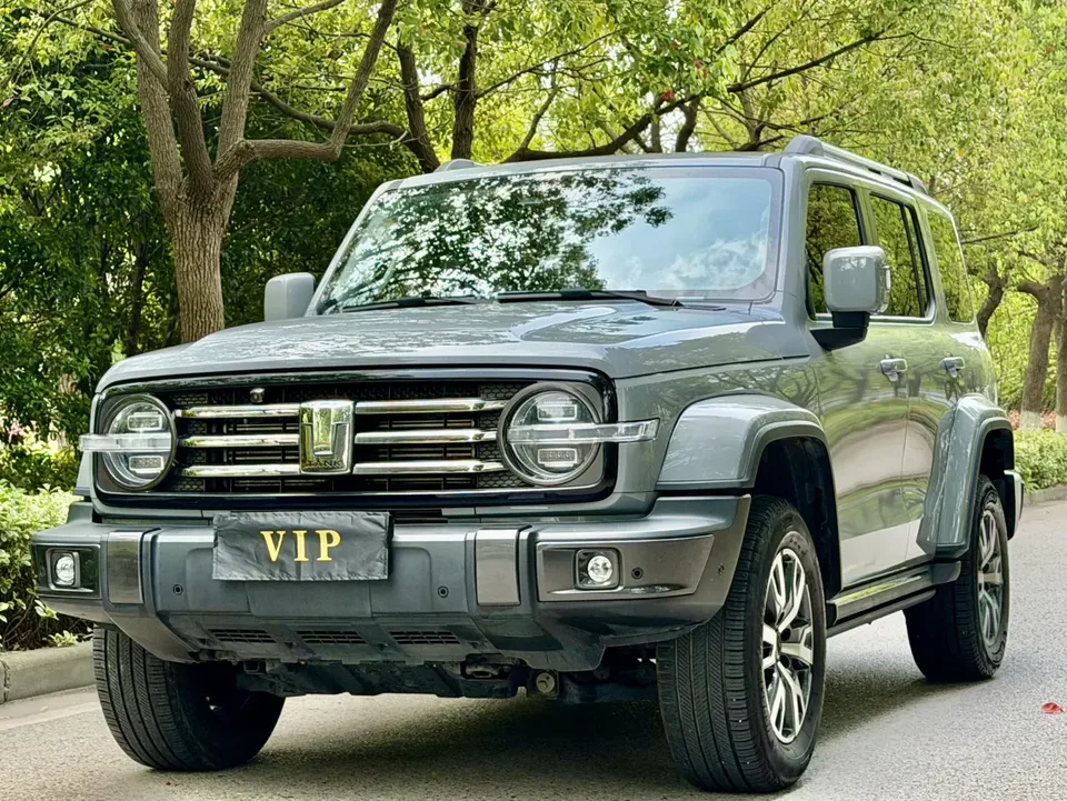 Tank 300 300 2021 Tank 300 2023 urban version 2.0T must-have model 2022 — photo 1, buy with delivery to Moscow