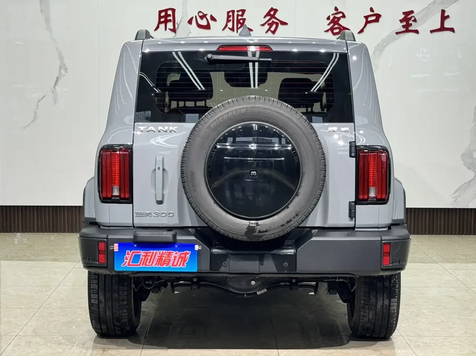 Tank 300 300 2021 City Edition 2.0T Very Stylish 2022 — миниатюра 2