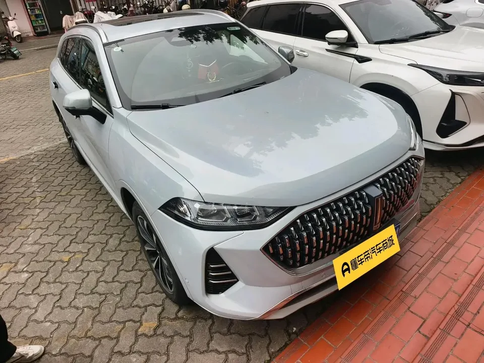 WEY Mocha 2.0T two-wheel drive special version 2023 — миниатюра 3