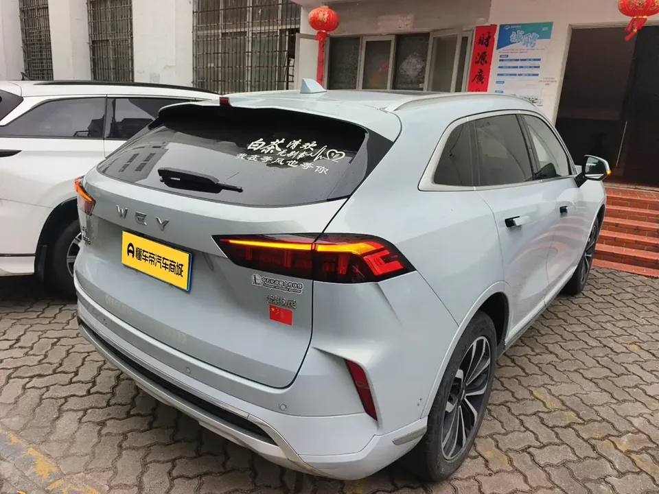 WEY Mocha 2.0T two-wheel drive special version 2023 — миниатюра 4