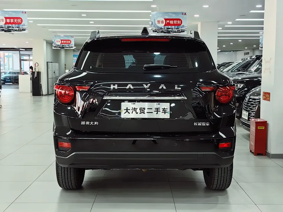 Haval Big Dog PLUS 1.5T 2WD Trendy Wild Edition Plus 2024 — миниатюра 4