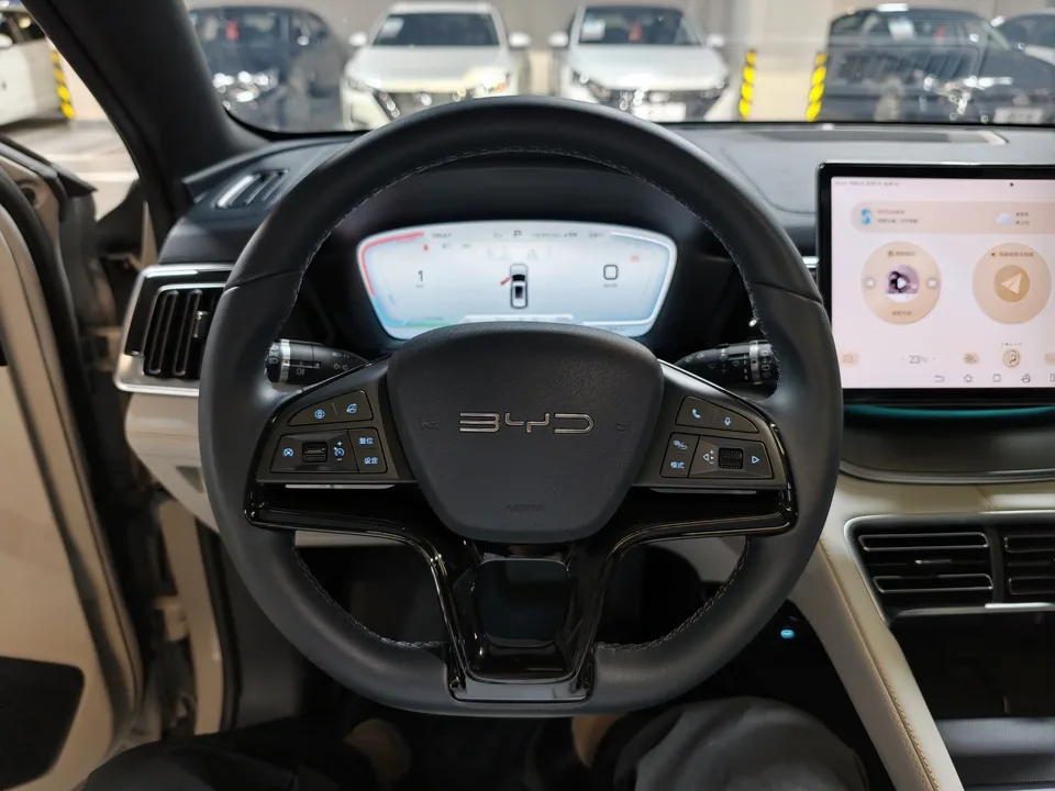 BYD Song PLUS DM DM-i Champion Edition 110KM Flagship Model 2024 — миниатюра 5