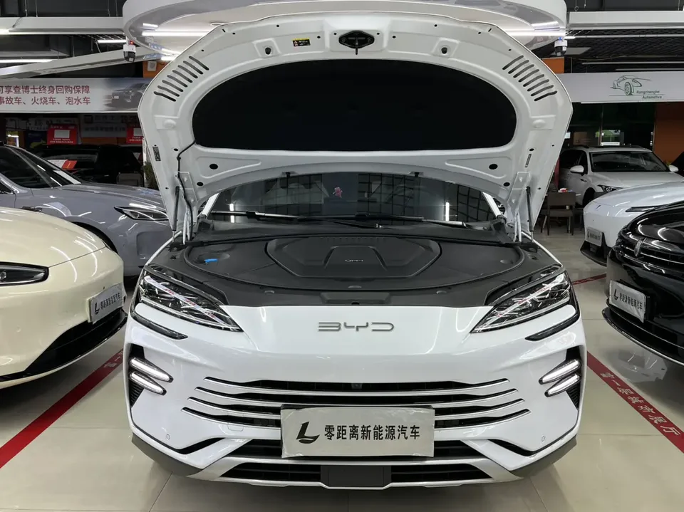 BYD Song PLUS DM DM-i Champion Edition 110KM Flagship PLUS 2023 — миниатюра 4