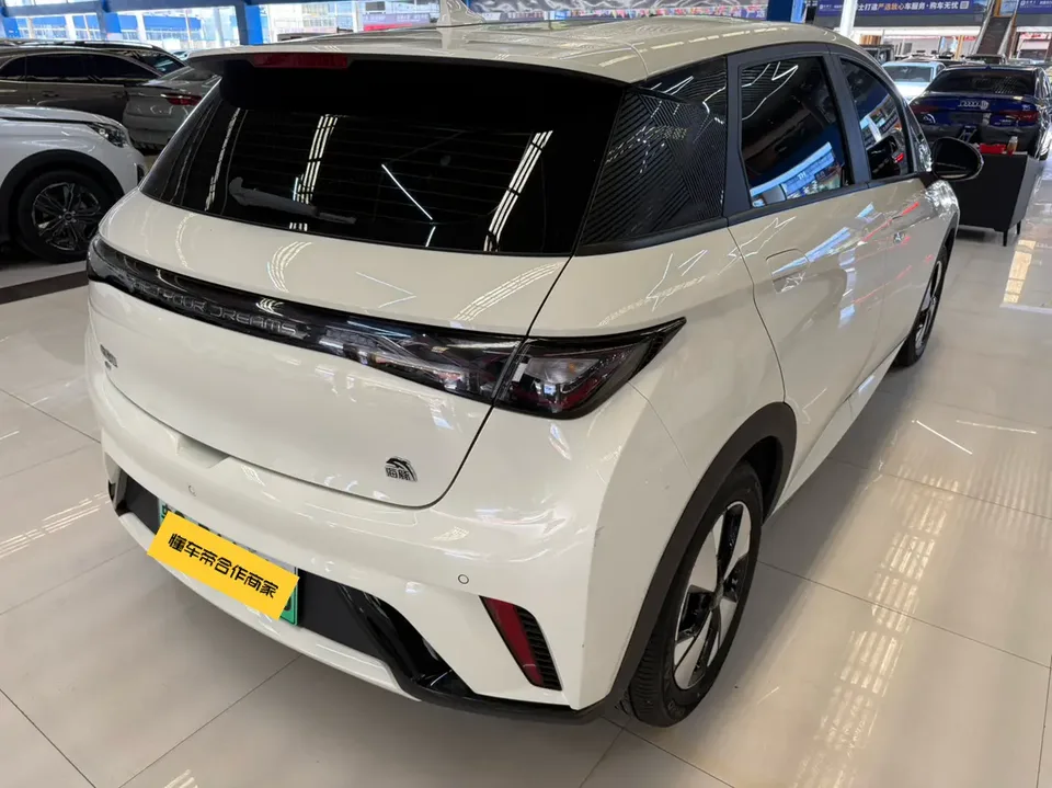 BYD Dolphin dolphin 2024 Glory Edition 420km Freedom Edition 2024 — thumbnail 2
