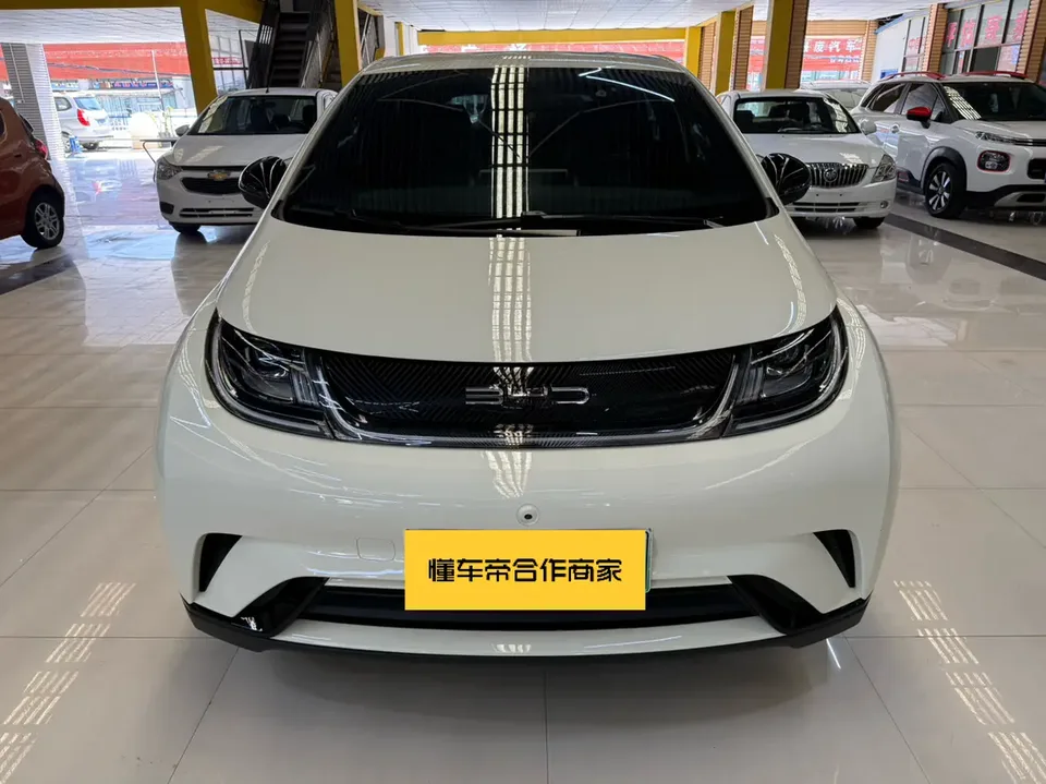 BYD Dolphin 2024