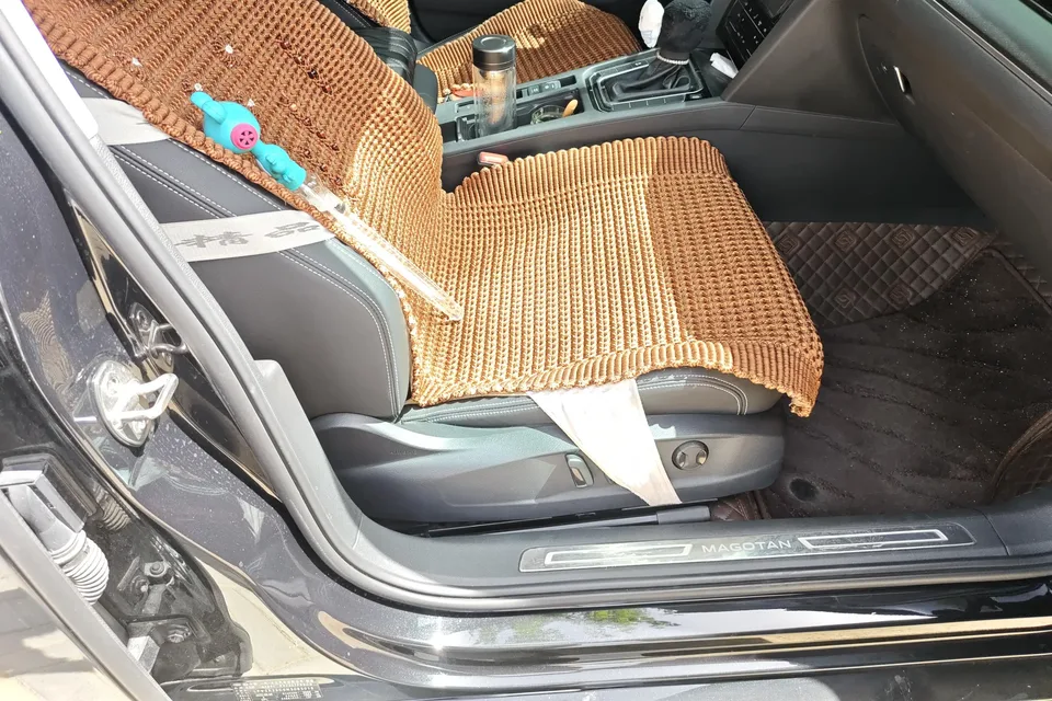 Volkswagen Magotan 330TSI DSG 30th Anniversary Edition 2023 — миниатюра 4