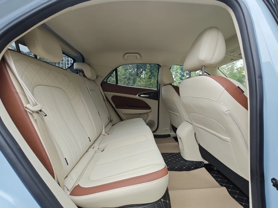 ORA Euler good cat 401km standard range luxury lithium iron phosphate 2023 — миниатюра 5