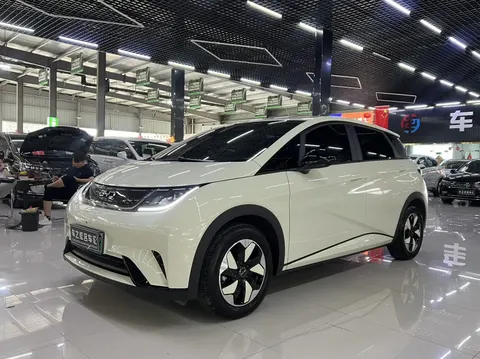 BYD Dolphin 2025 buy in Moscow