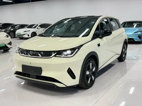 BYD Dolphin 2025 buy in Moscow