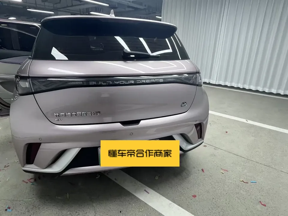 BYD Dolphin Dolphin 2023 Dolphin 2023 Fashion Edition 2023 — thumbnail 4