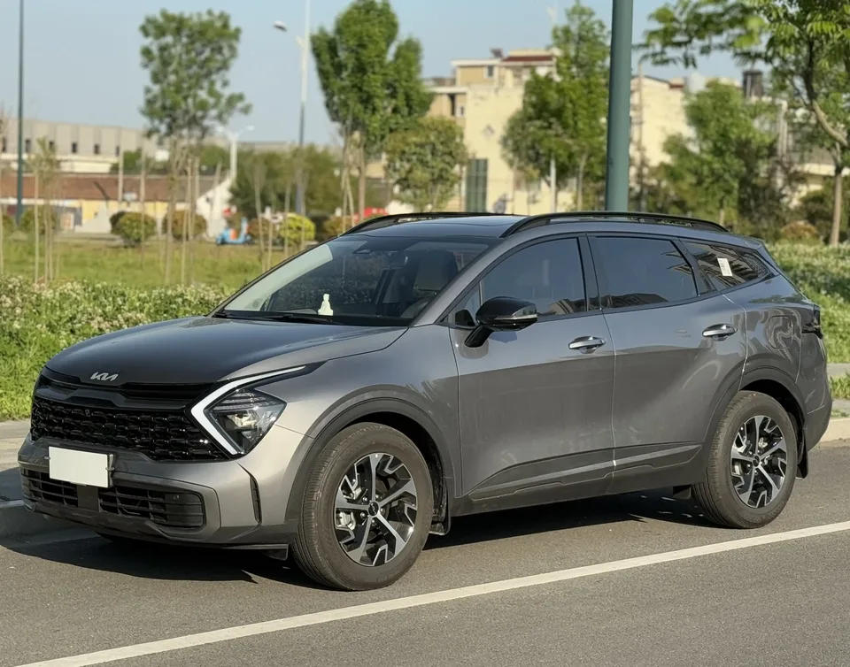 Kia Lion Platinum Expands the Boundary 2024