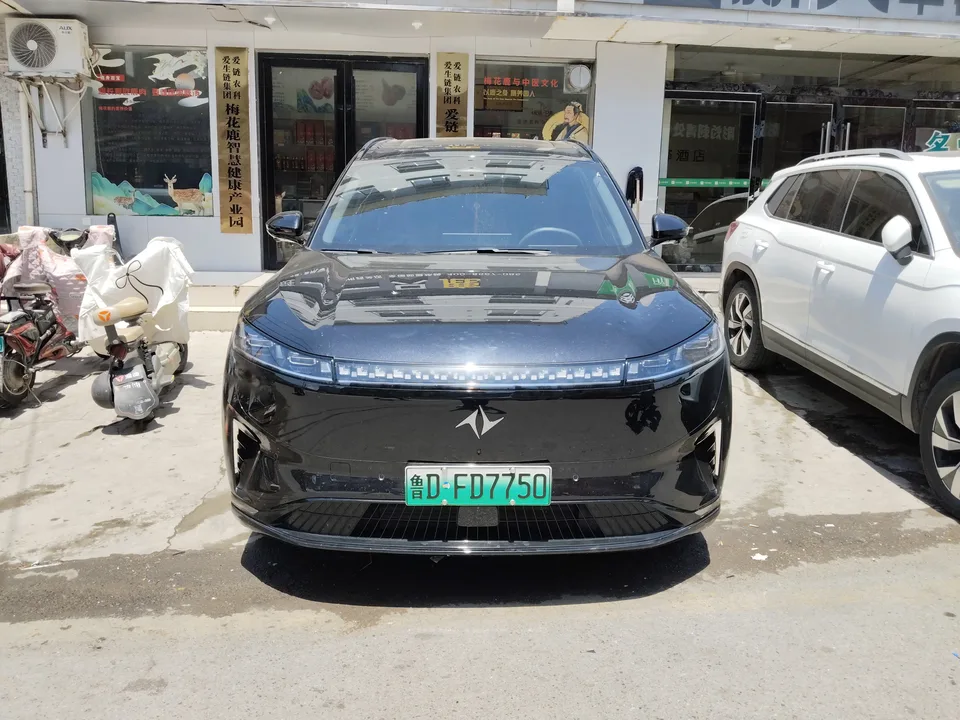 Dongfeng Yipai 008 2025