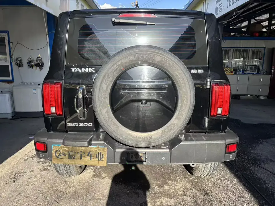 Tank 300 300 2021 Off-Road Edition 2.0T Conqueror 2022 — thumbnail 2