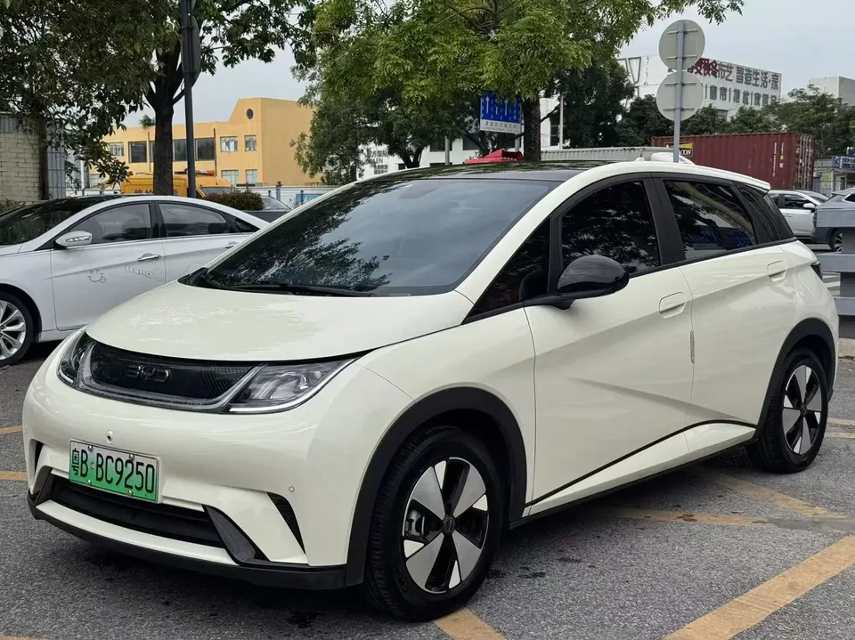BYD Dolphin Dolphin 2023 Dolphin 2023 Free Edition 2023 — photo 1, buy with delivery to Moscow