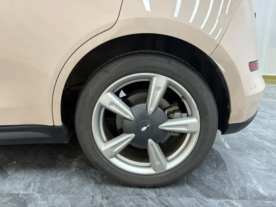 ORA Euler good cat 401km standard range premium lithium iron phosphate 2023 — миниатюра 3