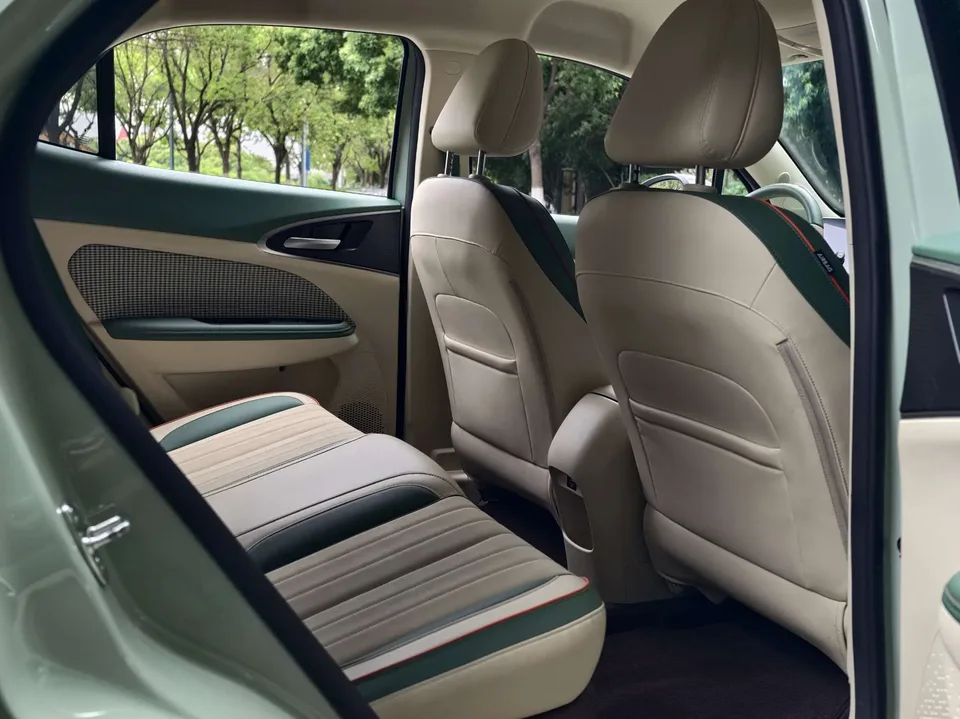 ORA Euler good cat 401km standard range luxury lithium iron phosphate 2023 — миниатюра 3