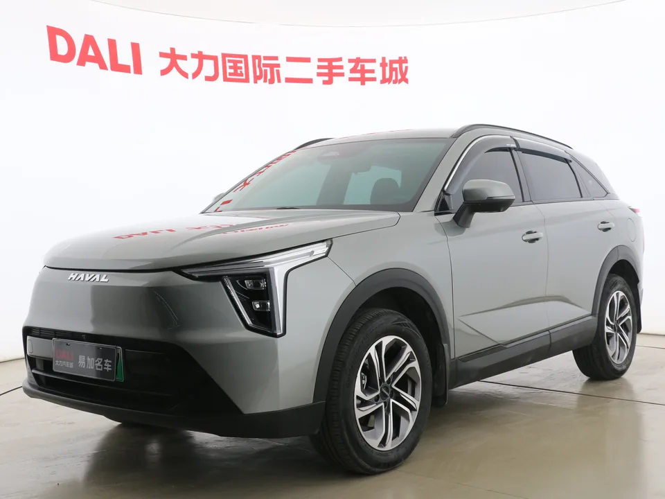Haval Harvard Xiaolong 2024