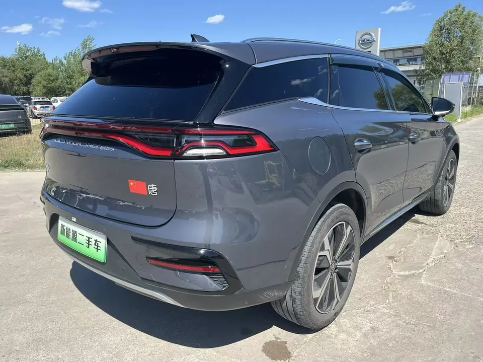 BYD Tang EV 730KM exclusive model 2022 — миниатюра 2