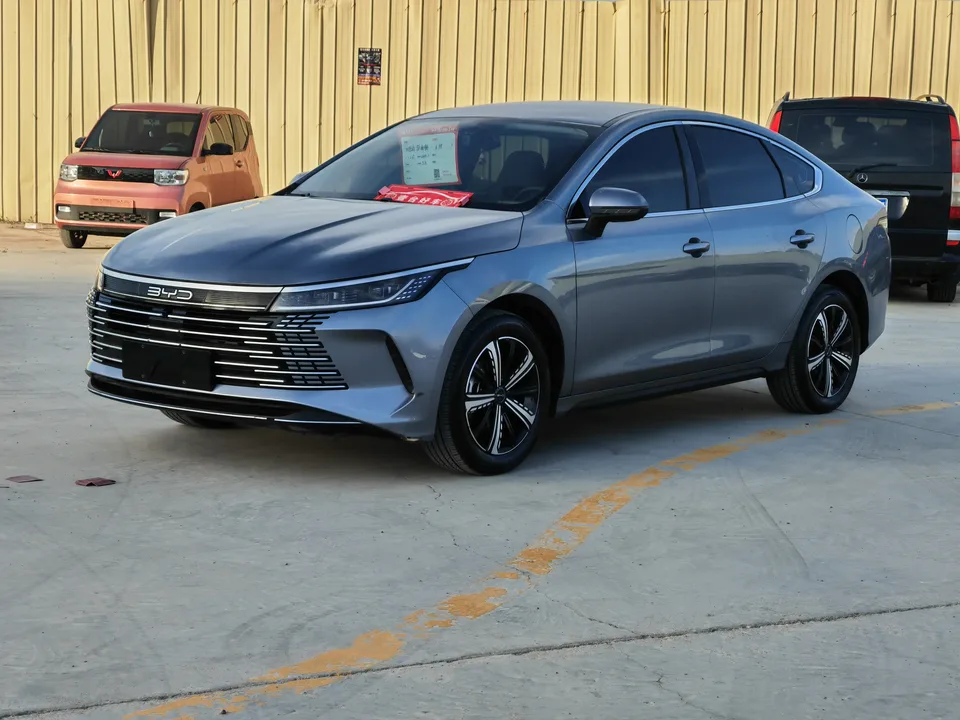 BYD Destroyer 05 2024