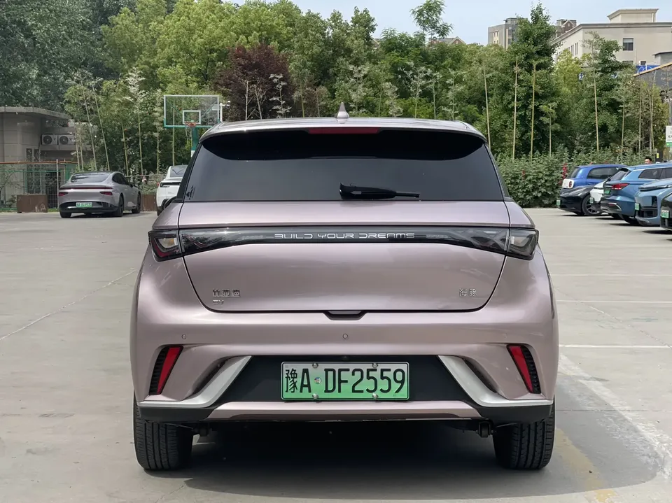 BYD Dolphin Honor Edition 420km Fashion Edition 2024 — миниатюра 2